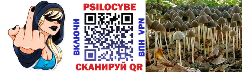 наркошоп  Нефтеюганск  Галлюциногенные грибы MAGIC MUSHROOMS 