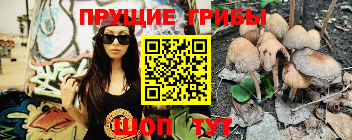 Псилоцибиновые грибы Psilocybine cubensis Нефтеюганск